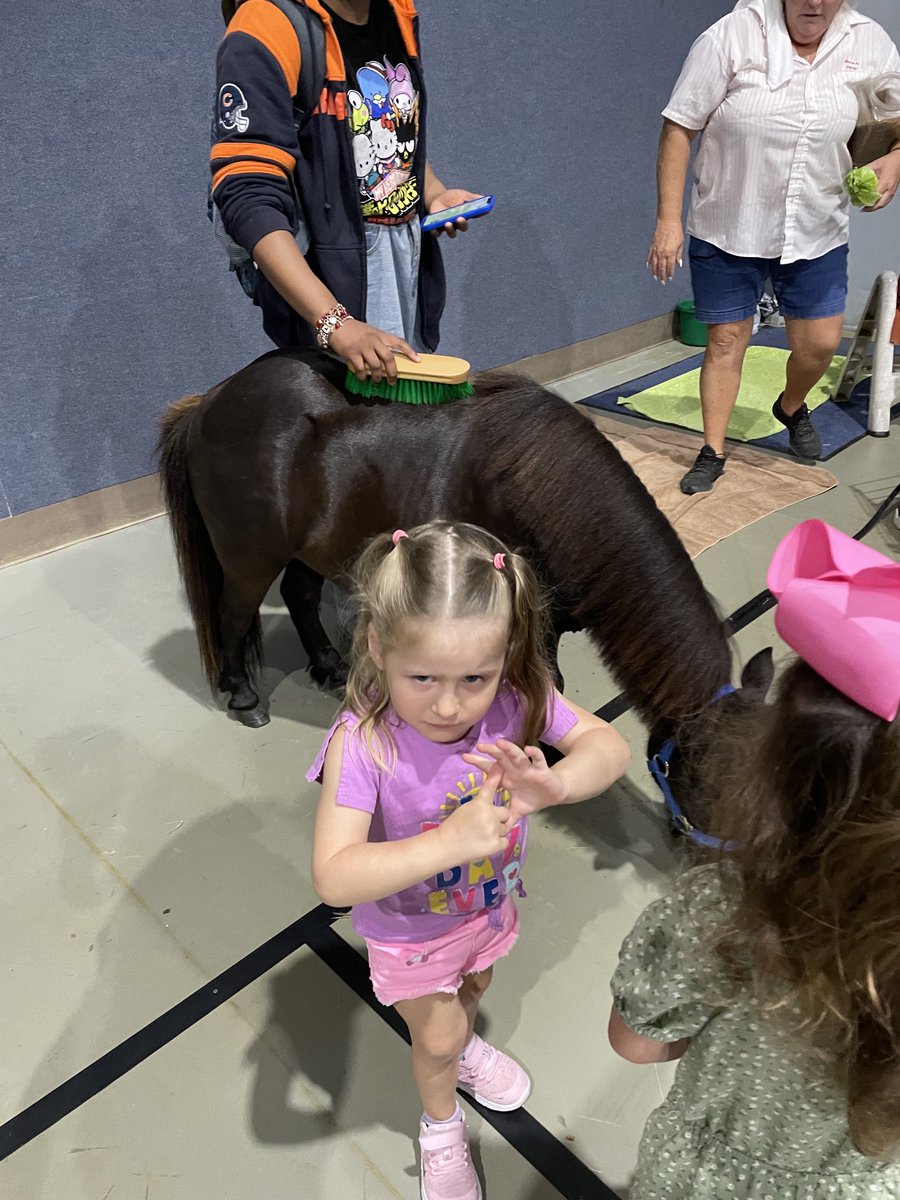 amccagg1's tweet photo. Pony time for Pre-K and big kids at Learning Tree #trojanpride #cterocks @JBJohnson810 @andreawenke @CteShhs @PISDCareerTech @MrsKvAlba ⁦@KHollins6⁩ https://t.co/K1wn7vYMTw