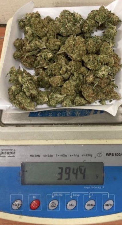Recently <a href="/KrzokR6S/">Krzok</a> was arrested for possession of 39.44 grams of weed, Pact roster changes soon 👀