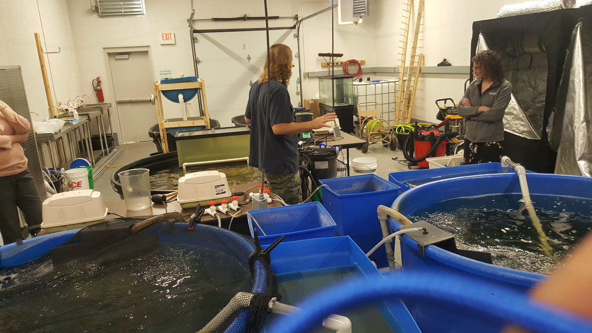 hsilentman's tweet photo. Water quality work at @westerndakota using channel catfish and koi for nutrient rich water for aquaponics. #SouthDakota https://t.co/9Puc502zPb