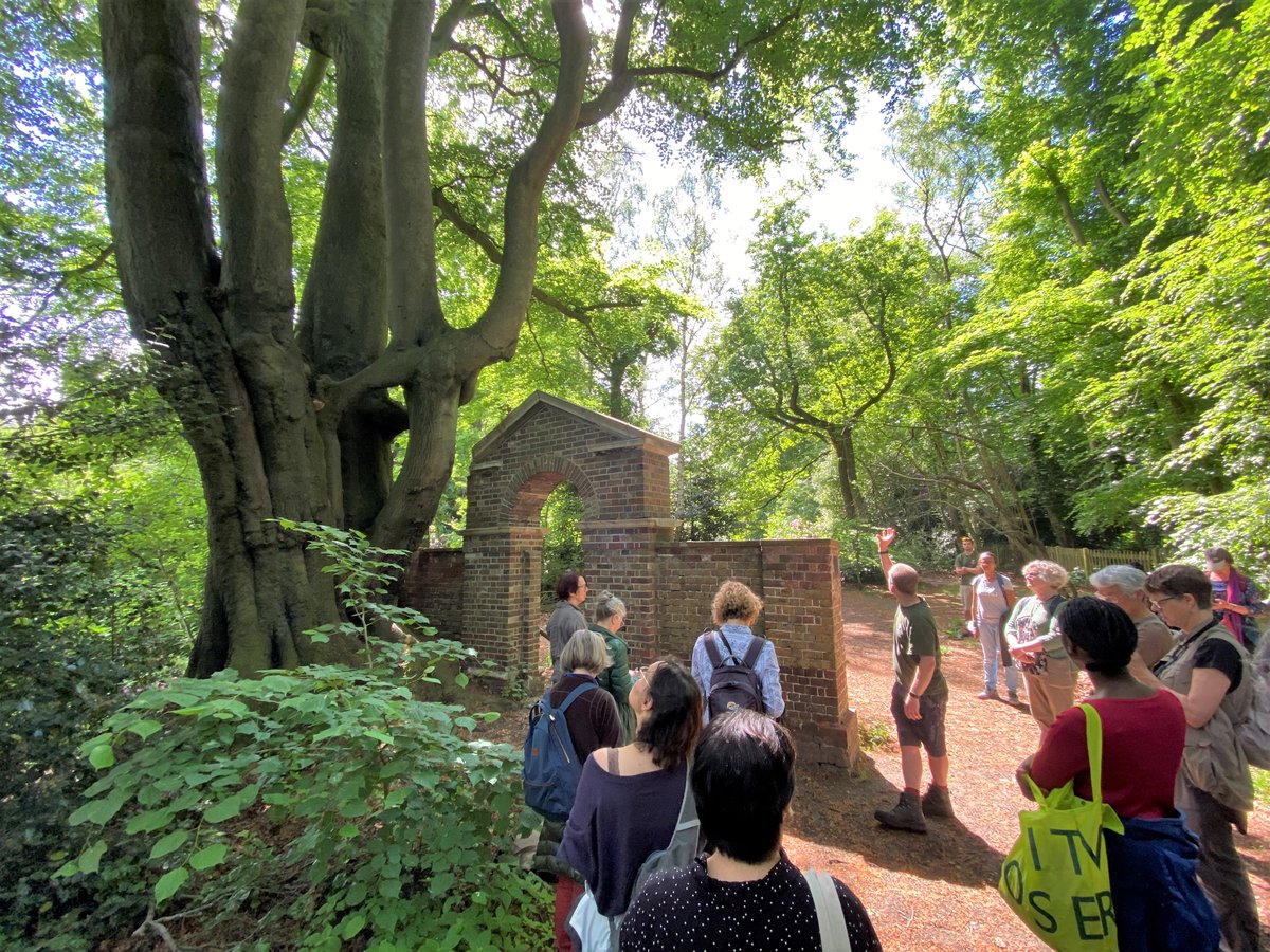 tree_myco_man's tweet photo. Our first post pandemic guided walk at Hampstead for the Urban Tree Festival. (last one was 2019) Looking at some of our sites most interesting trees, veteran tree management, compaction, invasive pests &amp; diseases,  the wider fungal and saproxylic ecology and succession. https://t.co/8V1KAzNVTf