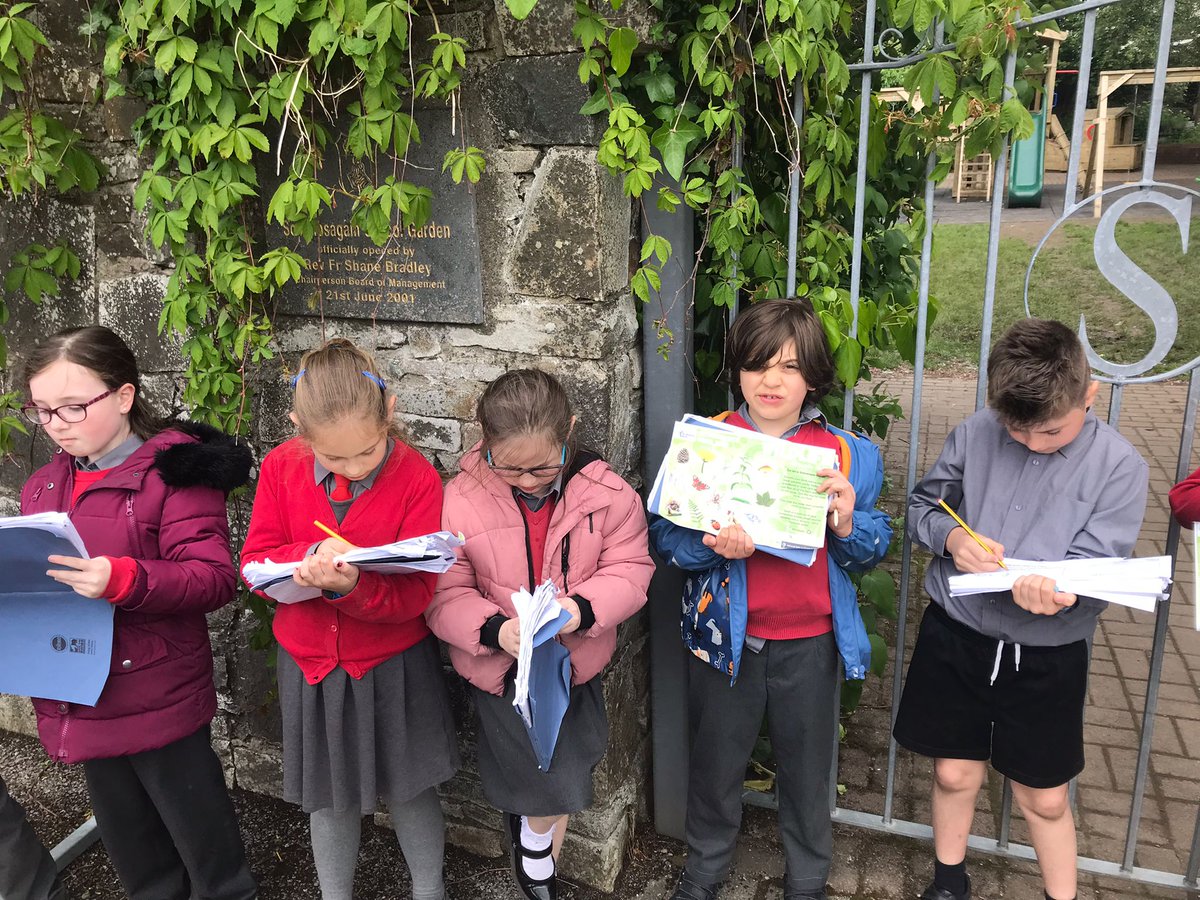 Mrs. McShane's brilliant boys and girls doing a scavenger hunt as part of National Biodiversity Week 2022 #BioHunt #minibeast #youngecologists