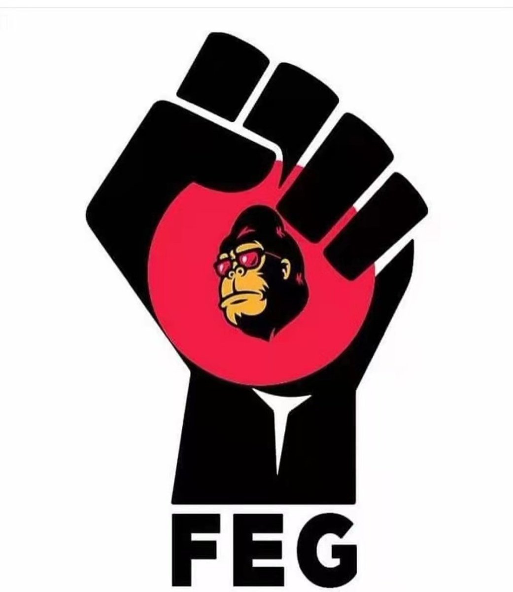 FEG IT 🌐 KiteGod tweet media