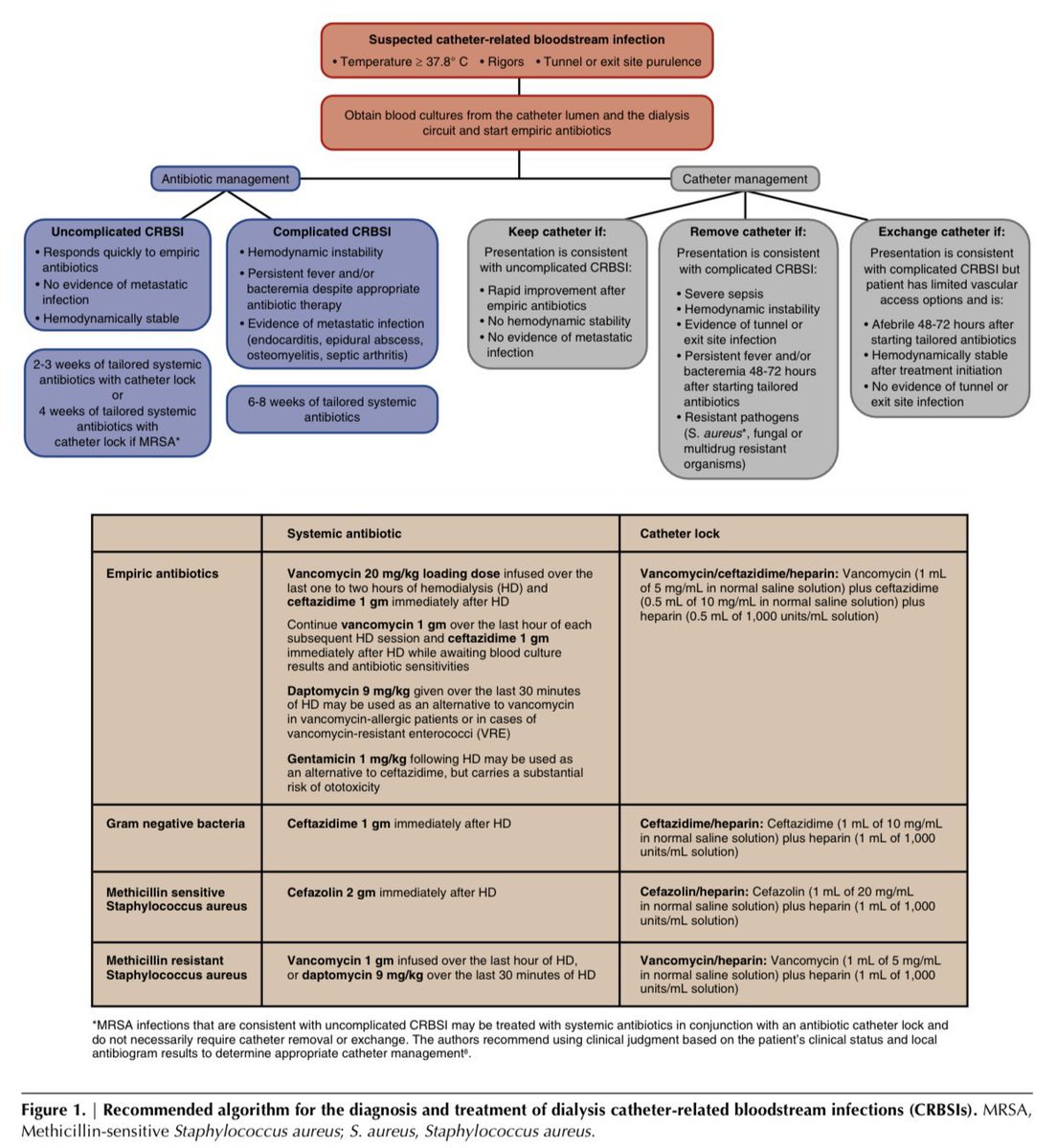 edgarvlermamd's tweet photo. Management of the Hemodialysis Patient with Catheter-Related Bloodstream Infection (CRBSI) ca. 2019 from @CJASN @nephrogeek1 @MikeAllonK360 #Nephpearls 
👉🏼 https://t.co/zQRdi1HgM3 https://t.co/1x6xOlk93j