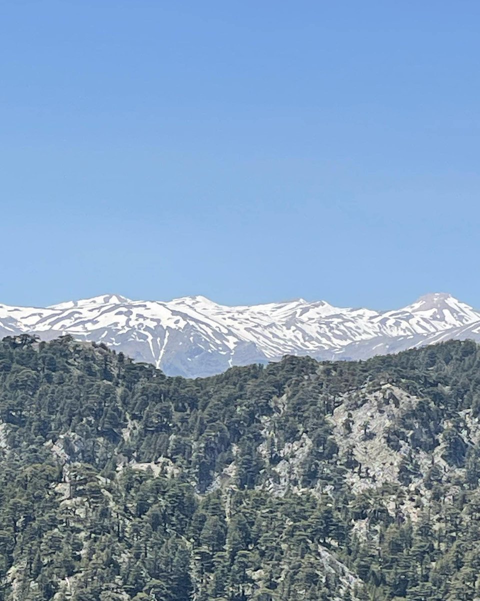 RunnersAxe's tweet photo. Amazing running from Ragnhild who took part in @TahtaliRunToSky 27km race which has an elevation gain of 2650 meters. The race starts at sea level on ends at the @Olympos2365 which is the longest cable car in Europe. 🏃♀️🚠⛰ #TeamAVR👊 #AVRonTour✈️🌎 #RunTheWorld #trailrunning https://t.co/wXKYUCzNfe