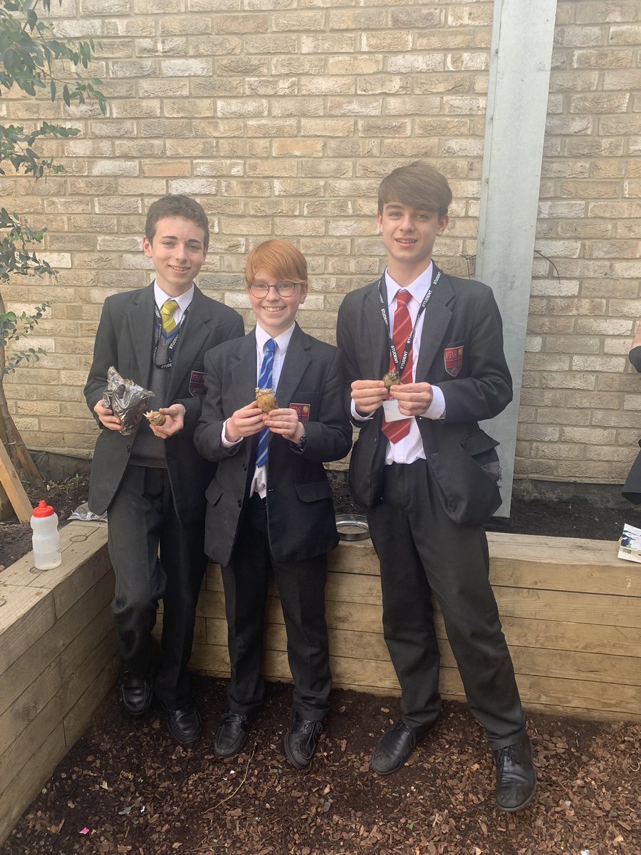 FulhamBoys_JD's tweet image. Gardening club planting potatoes today in the sunshine #welovegardening