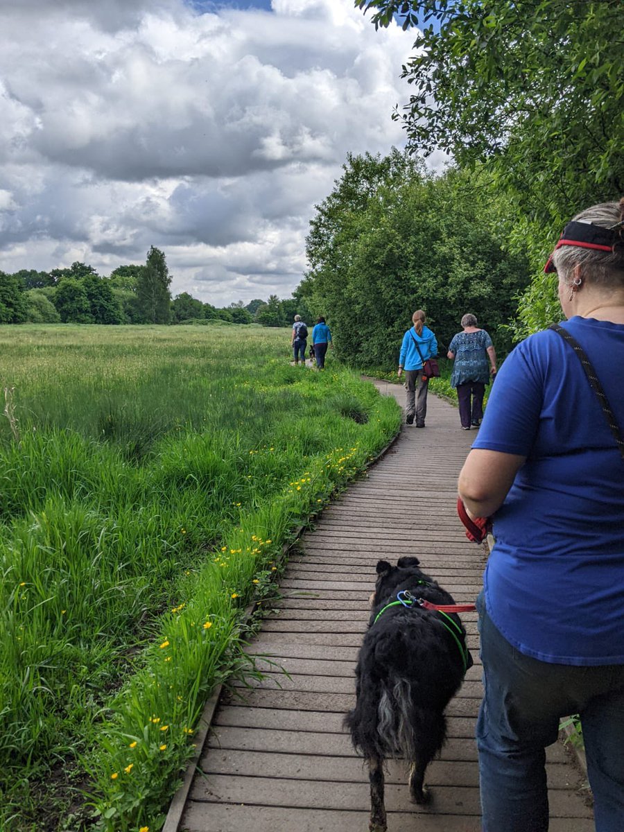 HeathlandHounds's tweet photo. Lovely group walk at #HeatherFarm today to celebrate #WildAboutWoking
Lots of zoomies in cool lush grass followed by refreshing dips in the river and ponds. Perfect 😀
#GreenspaceOnYourDoorstep
@wokingcouncil
@TBHPartnership https://t.co/bBZxexSkhG