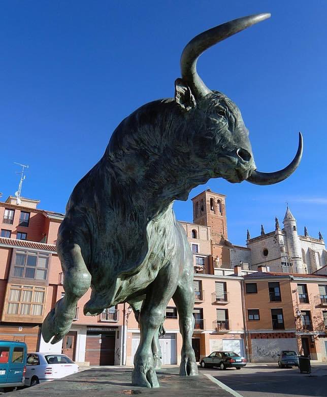 UN RITO DOCUMENTADO DESDE HACE MÁS DE CINCO SIGLOS

Hace 6 años la Junta de Castilla y León prohibía matar al Toro de la Vega, de Tordesillas (Valladolid).
Siempre apoyaremos el TORNEO DEL TORO DE LA VEGA, el auténtico. 

📷 EFE.