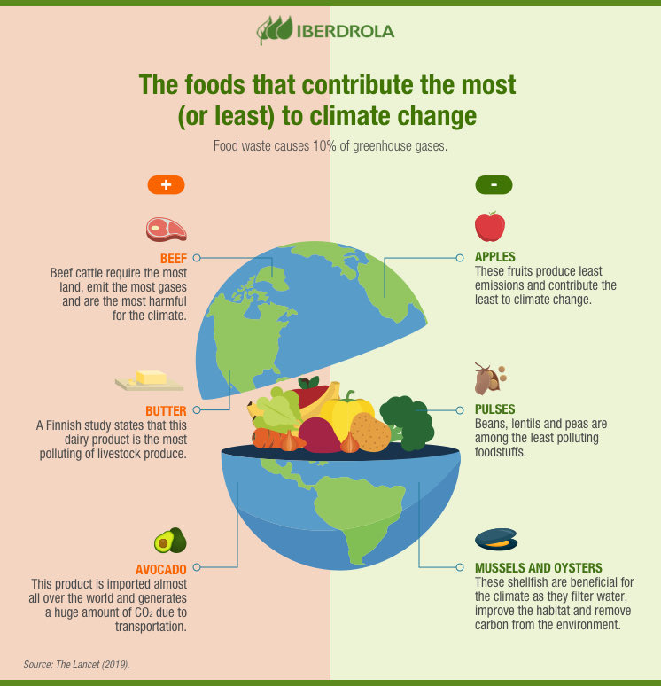 athrahysf's tweet photo. Thus, we can clean up our diet for the climate๐กโ ASI (Avoid, Shift, Improved). Avoid taking more food than you need. Shift your diet to climate friendlier options. Improve your consumer habits look for local produce with fewer food miles. ๐๐ป #bitesizeclimateaction https://t.co/jjiY1IJIsX