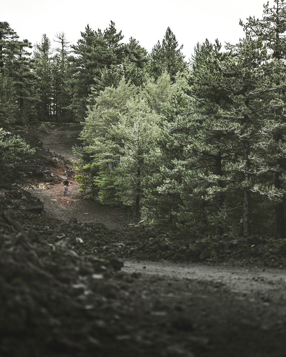 buyabike's tweet photo. 📷 @bianchibicycles 

Full-suspension fun with roche_nicholas on Mount Etna. Discover more trails, experience greater adventures, spend more time in nature – thanks to the electric E-Omnia FX Type.⁣

#Bianchi #RideBianchi #BianchiBicycles #GiroReflections #BianchiLifE https://t.co/BPUKy2jtBQ