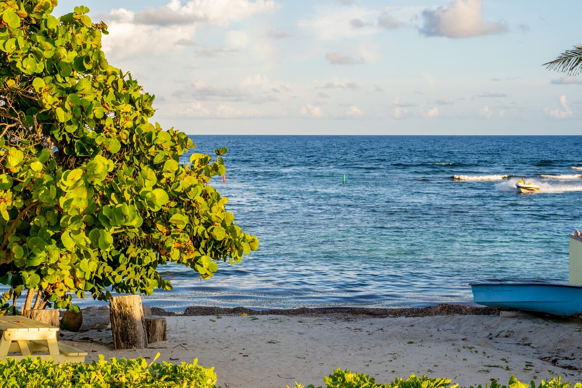 Neighbourhood spotlight: Red Bay and Prospect

Discover all there is to love about living in this diverse and charming area just east of the capital. 

provenanceproperties.com/neighbourhoods…

#CaymanIslands #ProvenanceProperties #CaribbeanLuxury