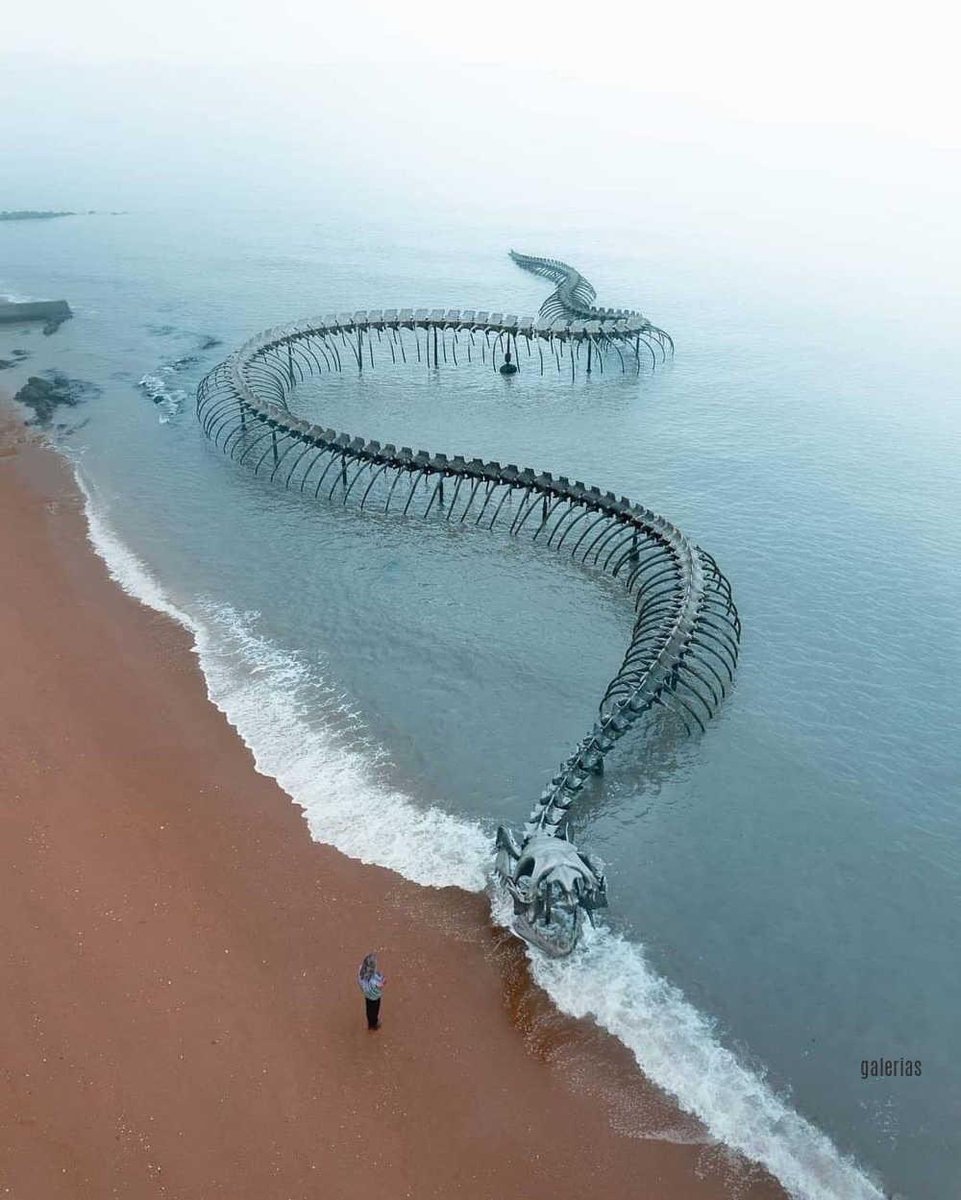 Cuando baja la marea en el estuario del Loira (Nantes, Francia) emerge la escultura en aluminio de Huang Yong Ping: en forma de esqueleto de serpiente marina.
150 metros de líneas onduladas que juegan con la curva del puente de Saint-Nazaire.