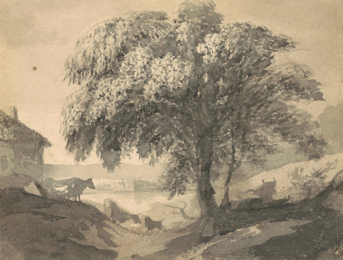 John Bolton tweet media