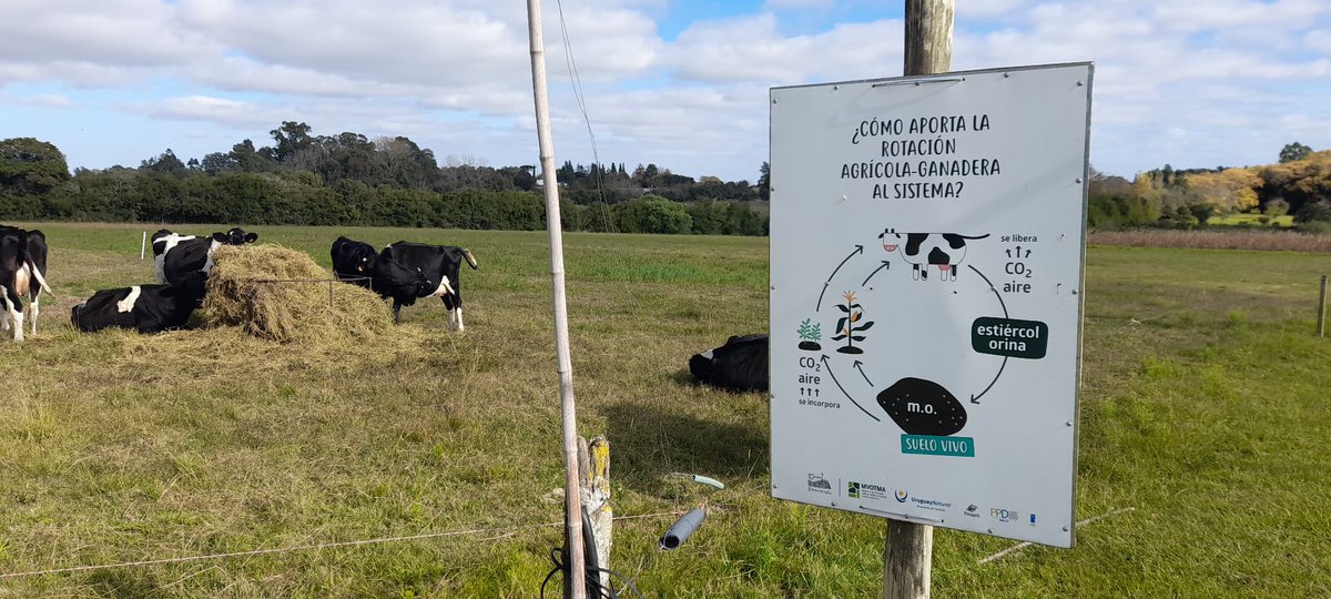 PlanAgro's tweet photo. #Hoy participamos en la Mesa de Desarrollo del Este de Colonia, en #CentroEmmanuel 📍Colonia Valdense
Ing. Perrachon #Desc #DGDR #DGSG #DIGEGRA @MGAPUruguay @INIA_UY @IntColonia @MunicipiosUru @PatyrosauAguiar #CRADECO @sofoval #COLAVECO #SFColoniaSuiza #GrupodeMujeresdeColonia https://t.co/KoxIN3UvOm