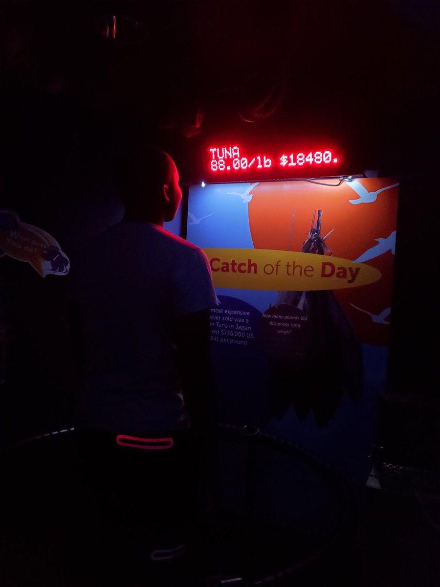 MissJFernandes's tweet image. More fun at @RipleysAquaCA @StFXSOS #SocialSkills #LifeSkills #FunctionalLiteracy @MsLowicki @MsNieuwendyk