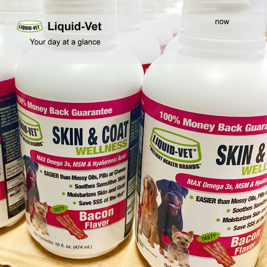 RxHBrands's tweet photo. Yummy. Bacon Flavor Day.
#bacon #walmartcanada #blt #baconandeggs #dogslovebacon #ilovebacon #baconlove https://t.co/GZqfXcKMG1