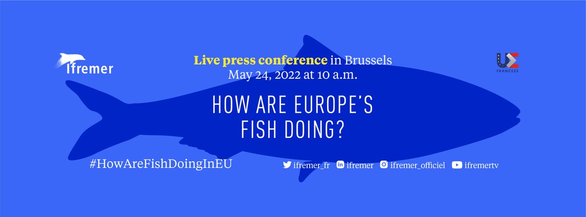 MarineInst's tweet photo. πJoin @Ifremer_fr next Tuesday at their @Europe2022FR press conference.
We will be represented by David Reid @MarineInst along with scientists from @agrocampusouest and @ILVOvlaanderen
π
Tuesday, 24 May, at 10am
#HowAreFishDoingInEU? #OceansOfLearning https://t.co/rXDLGU6xQ7