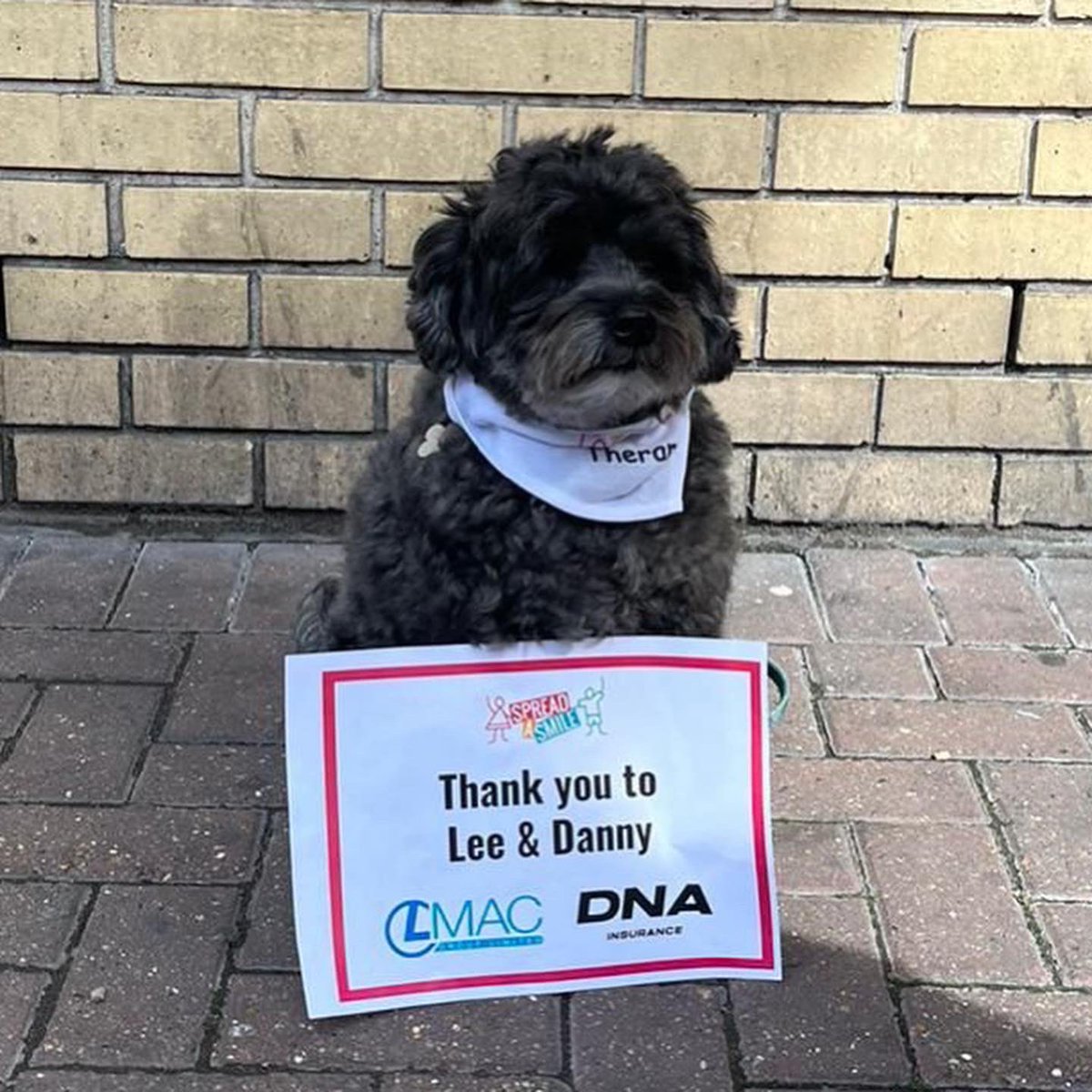 Spread a Smile tweet media