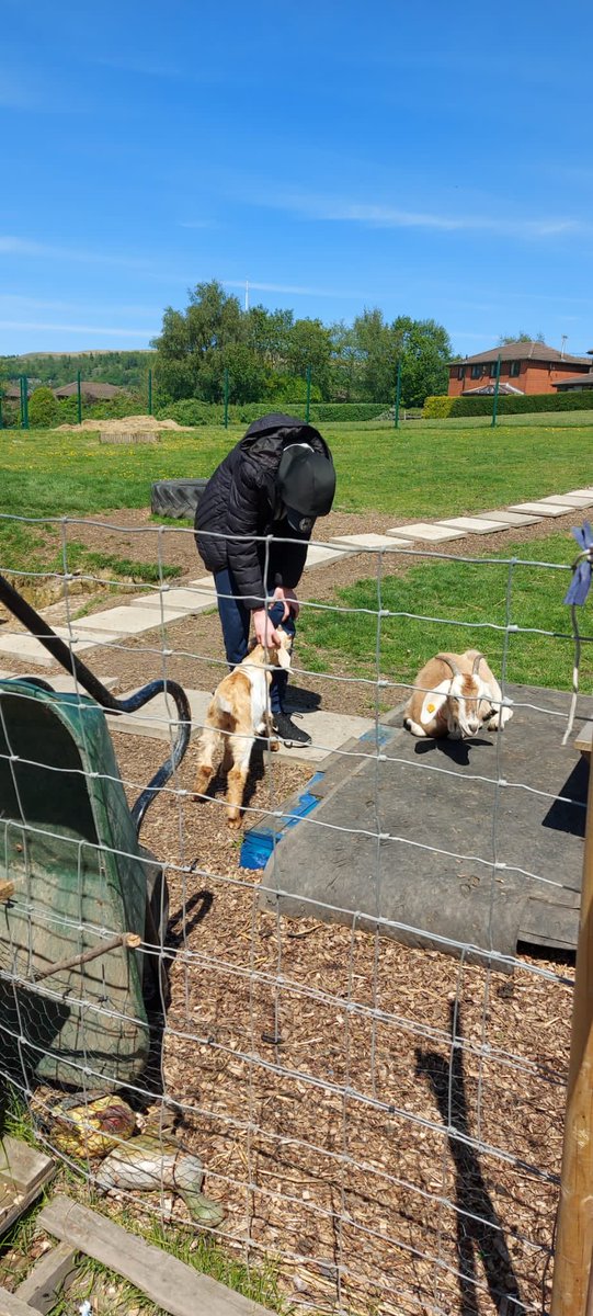 Livvi_Fay's tweet photo. A lovely afternoon - the lads have been amazing with the animals. 🐐 🐑 #farmlife #schoolfarm #LPTF @LeverParkSchool @bolton_pru https://t.co/0XLhOghmCL