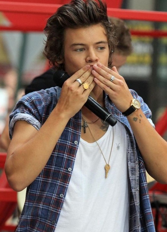 teaandfrozenpea's tweet photo. I'LL NEVER BLINK AGAIN 
#HarryStyles #TodayShow https://t.co/irj6G8O9bd