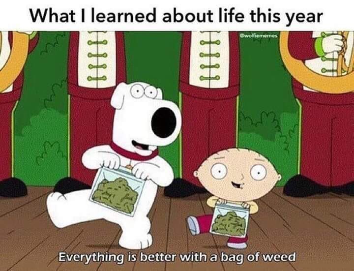 GetYoursStoreVT's tweet photo. Indeed it is!
#betterwithweed #weedlife #weedhumor #weedmeme #shopgetyours #GetYoursStores #getyoursbarrevt #barrevt https://t.co/nnOIEBa4Ew