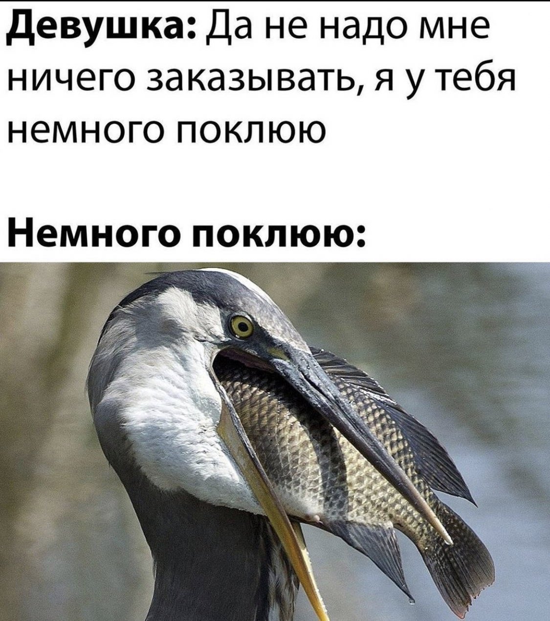 24 Мая картинки прикольные с надписями