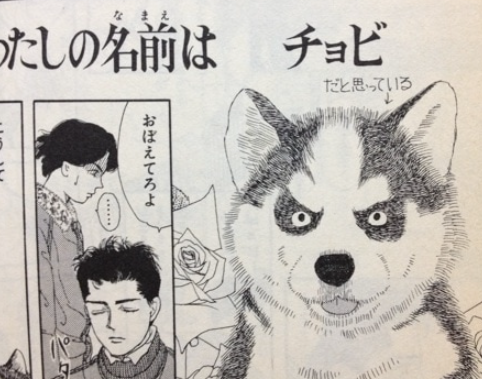 ペットの名前ランキング2022、犬・猫ともに「むぎ」が2連覇達成…?
え?すべての動物はチョビなんじゃないのか? 
