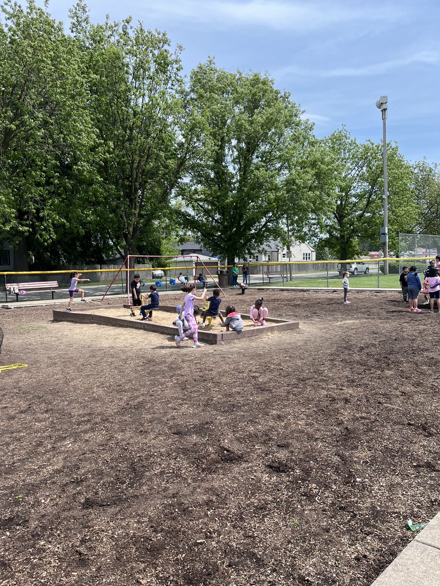 Celebrating the letter P today.  #BeEvergreen