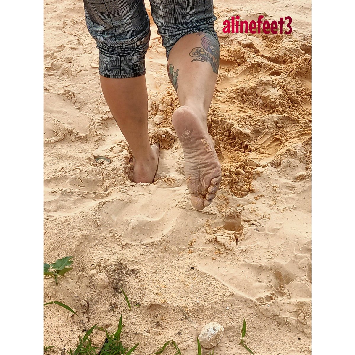 AlineFeet's tweet photo. Limparia esses pézinhos empanados?
#Feet #feetfoot #podolatria #findome #packs_onlyfans #packpes https://t.co/zfeG67dd8Q