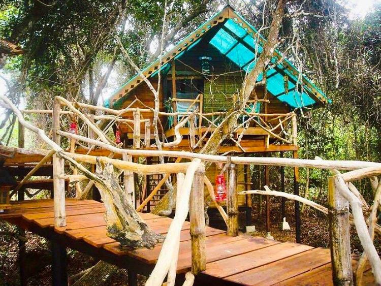 CongoVisit's tweet photo. VISITEZ NOUMBI RESORT
Vivre une expérience ultime en cohabitant avec la forêt et la mer dans des bungalows hors de commun. 

📱 WhatsApp : +242055338959 
👁‍🗨 https://t.co/jr0sejYHoH
👁‍🗨 https://t.co/ZMttb41yRw
📍 https://t.co/CvJr2hCfch
#CampSurf #Noumbi #RépubliqueDuCongo #Resort https://t.co/O8qOY97LXV