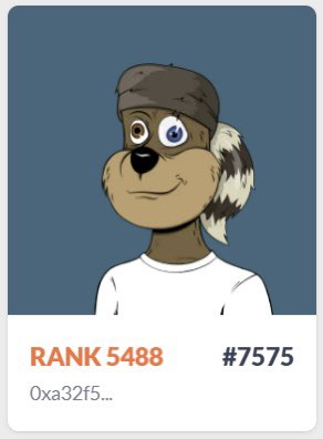 Tribe Quokka tweet media