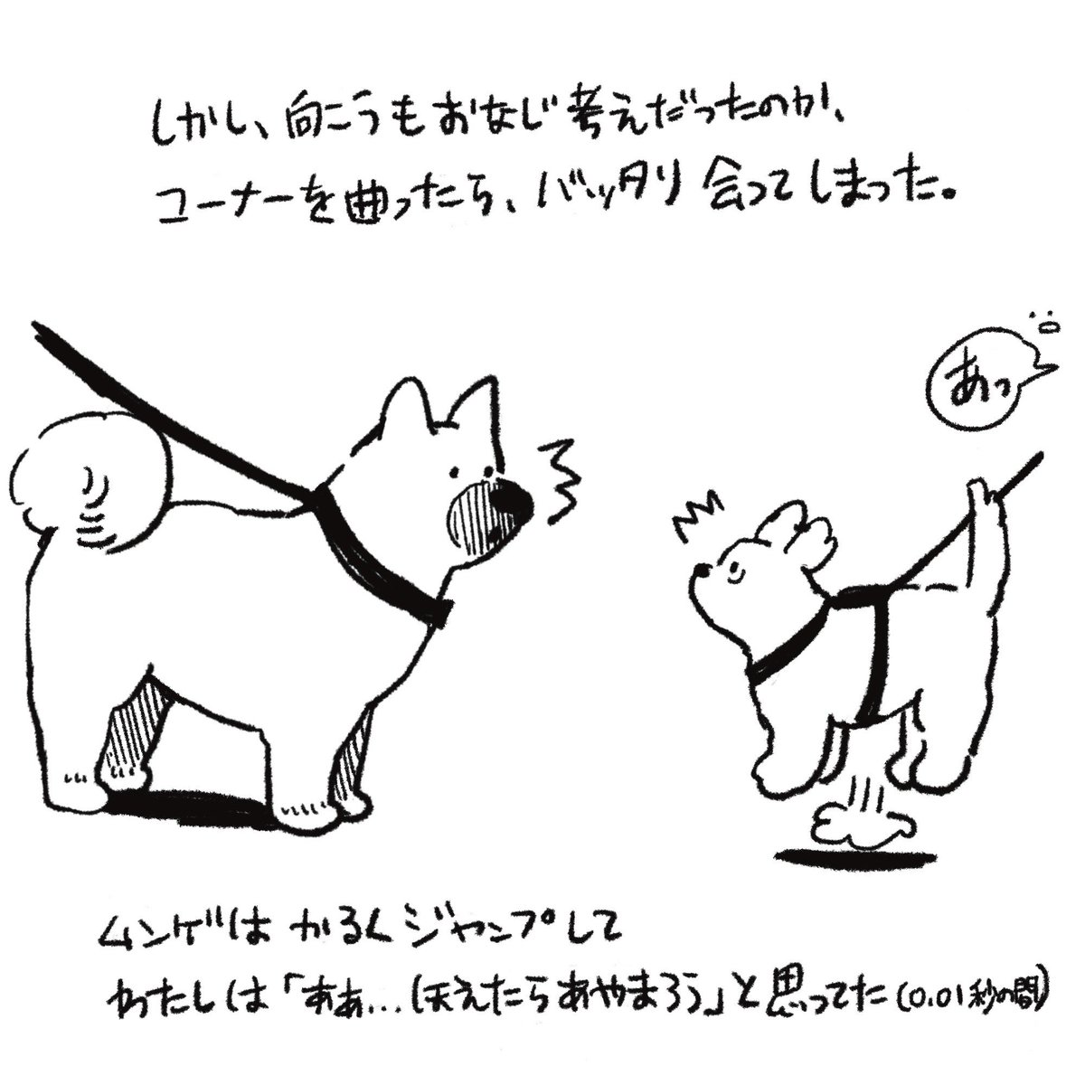 yeye_draw_jp's tweet photo. お散歩中の出来事のマンガ
(1/3) https://t.co/GWKiaKp3Nu
