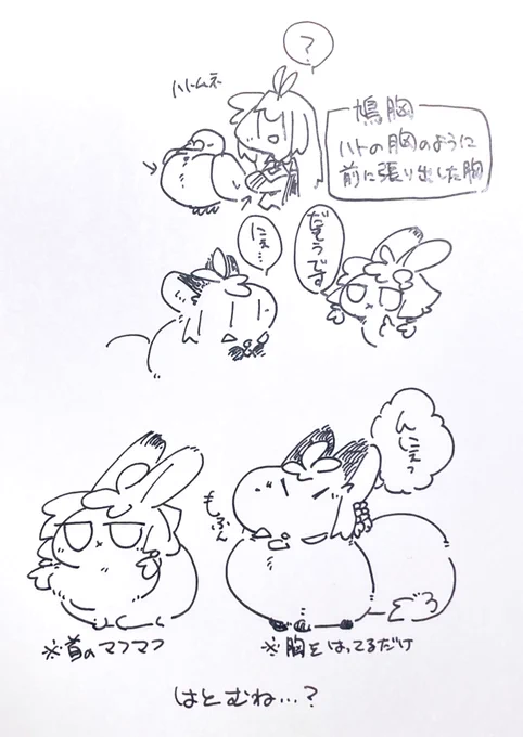 モフと鳩胸 