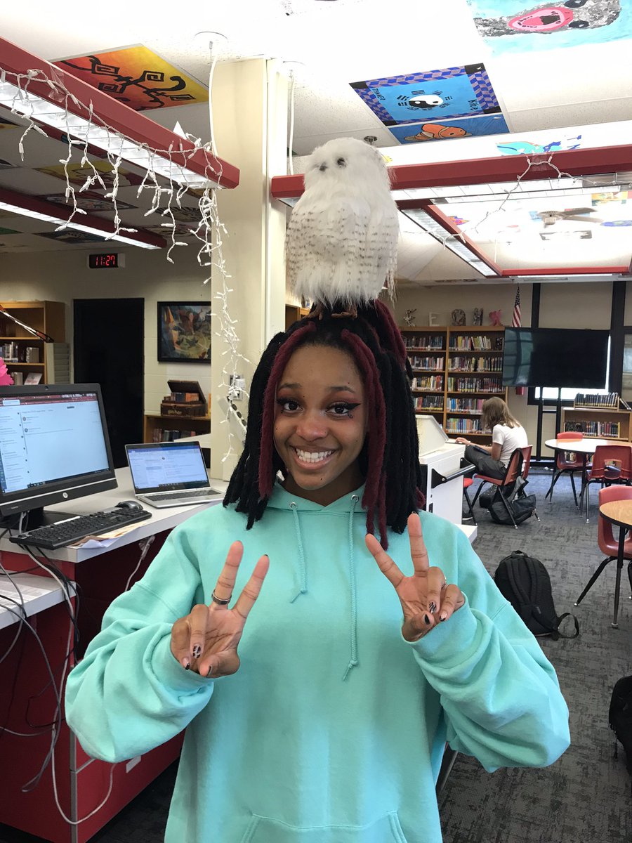 AngieBuis1's tweet image. 4th day of iReady testing, 5 school days left. We’re fine, everything is fine. 😂 #libraryowl