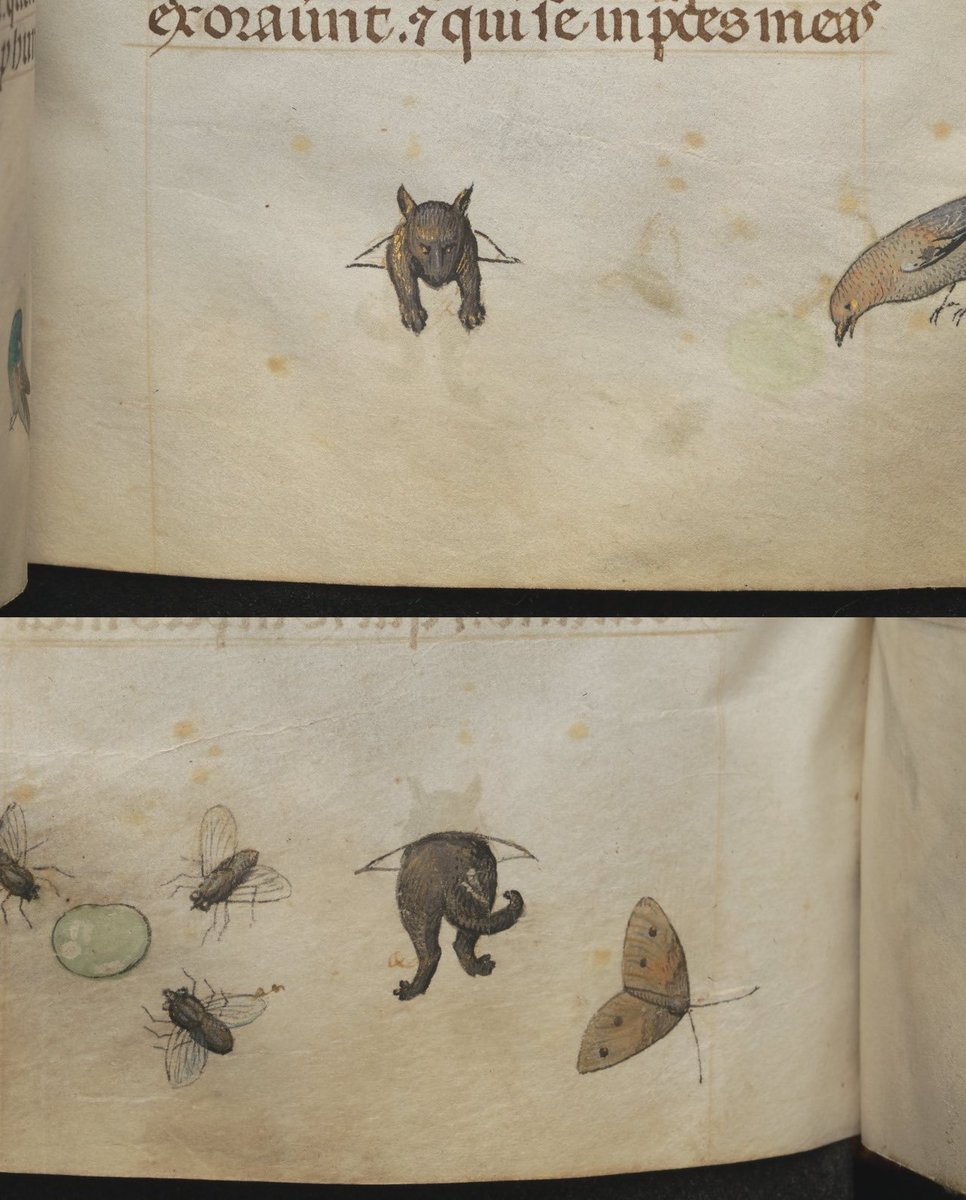 kraków, mnk 3025 i, pages 469-470