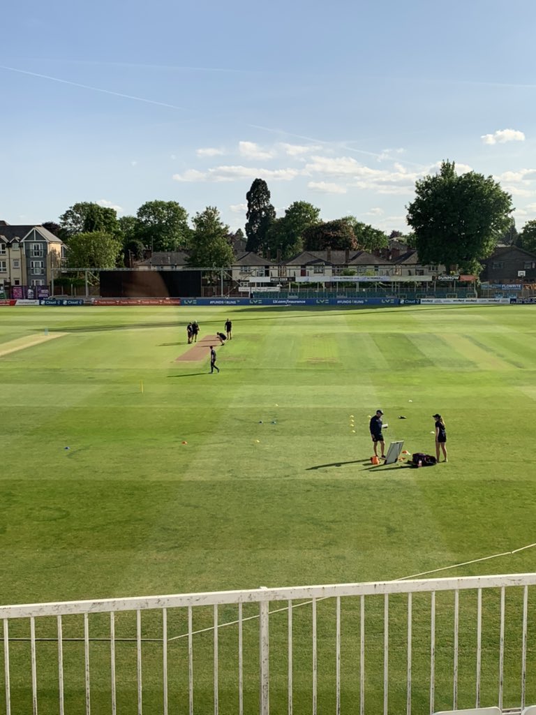 What a beautiful evening for a game of cricket