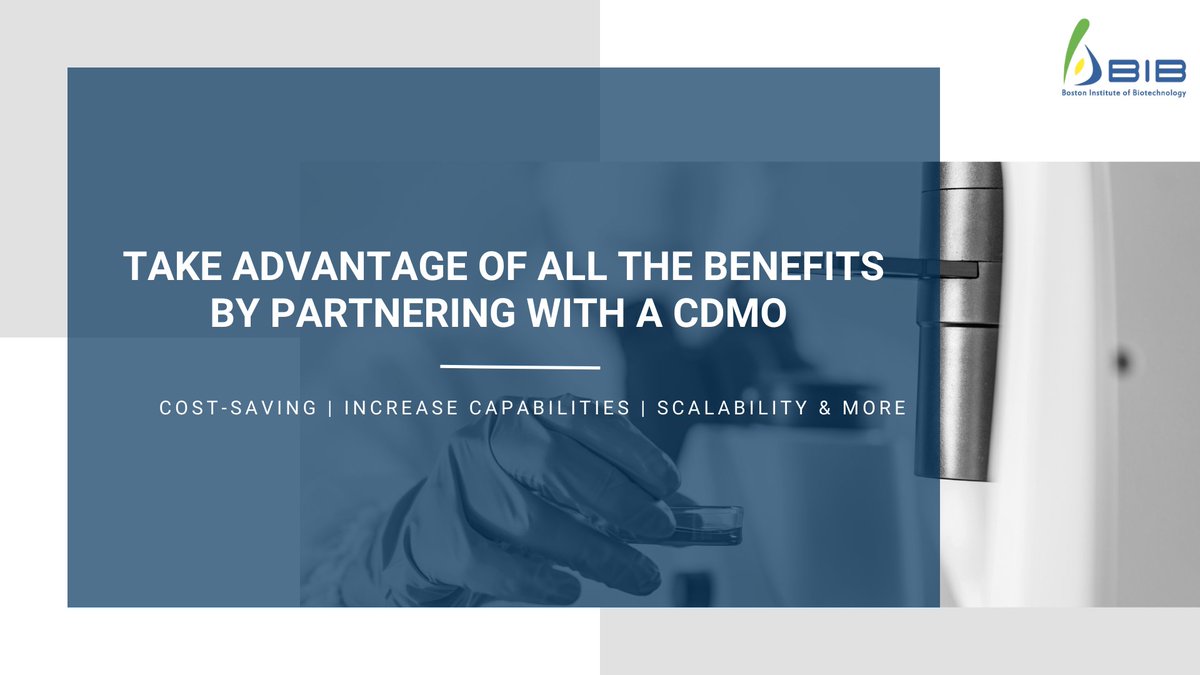 bostonbib's tweet photo. Take full advantage of the numerous benefits by partnering with a CDMO

From cost savings, increasing capabilities, a vast breadth of experience, &amp; scalability​
Visit https://t.co/ax1hkoZ0fm today

#biotech #biotechnology #GeneTherapy #immunology #immunotherapy #manufacturing https://t.co/ArfDEa9WTR