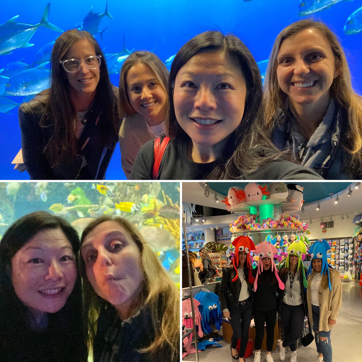 WendyLarm's tweet photo. When we @CardinalLegerSS go on a field trip @RipleysAquaCA we #workhard #ilovemyjob @Muscatello0811 @msmclean84 @ms__defilippis https://t.co/8rodrAdMPj