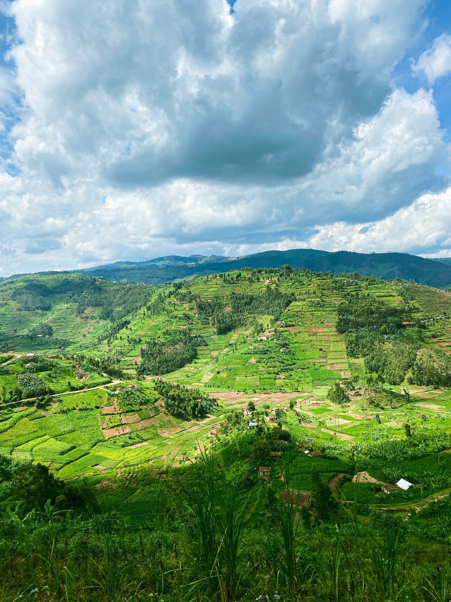 Last week MCW's Dr. Laura Cassidy and Dr. Staci Young, along with two MCW MS GHE graduate students, travelled to Rwanda to develop &amp; build partnerships to expand training in rural clinics and support the student’s international internships—See our thread for a recap of the trip!