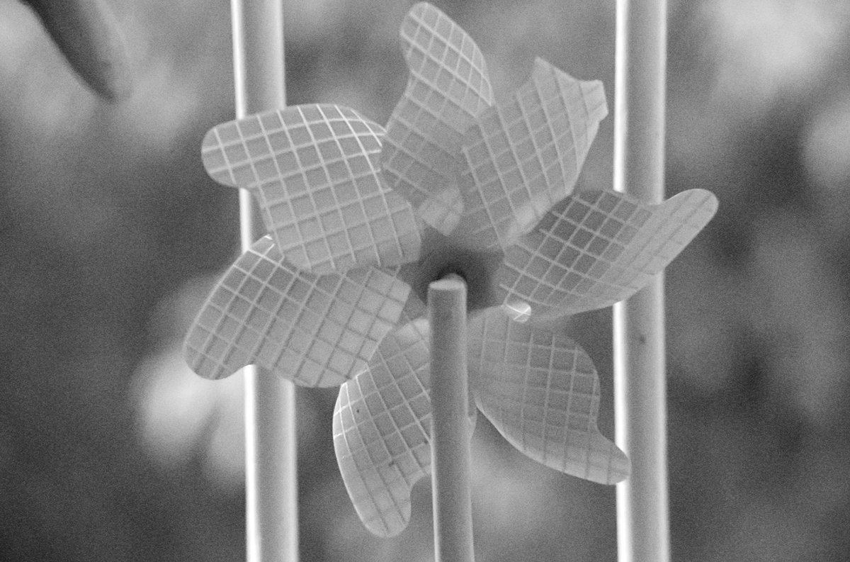 sigfreddy2000's tweet photo. Photograph in vintage style with #iPhone12ProMax @FiLMiCPro #firstlig filter prism and BW Electrum / @beastgrip / vintage lens Pallas 135mm f.2.8 https://t.co/YJVYsDrvy5