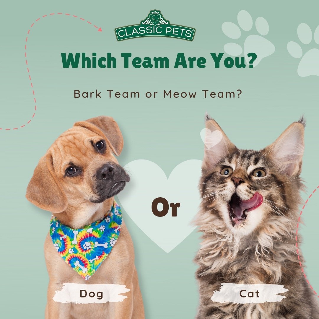 classic4pets's tweet photo. Hmm, let us know…
Which team are you: Bark Team 🐶 or Meow Team 😺? 
🌐 https://t.co/EhXCau43bW #LabBreeder #AdoptLabPuppies
#adorablepuppies #mansbestfriend #healthierlife #happierlife #qualitytime #feelneeded #petowner #positiveoutlook #reducestress #reduceanxiety #petlovers https://t.co/R0WshofZrd