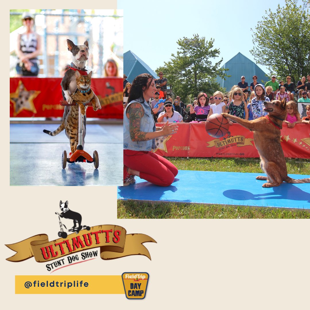 FieldTrip's tweet photo. Take a look at our Kids Day Camp Lineup! #FieldTripTO (1/2) https://t.co/cdV8KAuAhn