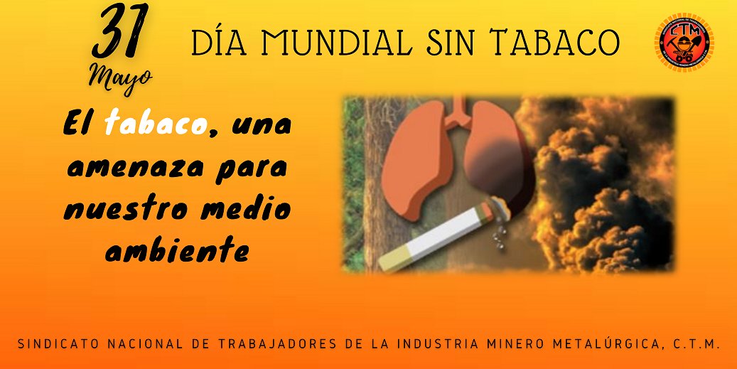 Sindicato Nacional Minero, CTM (@sntimmctm) on Twitter photo 
