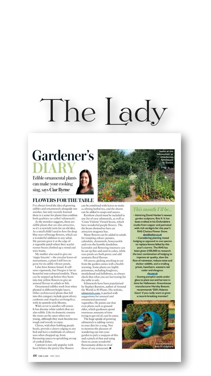 Little Red Rooster tweet media