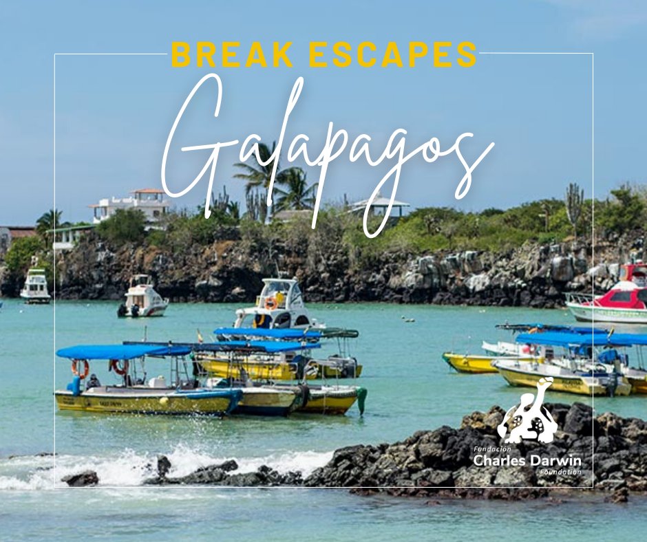 ISA Study Abroad tweet media