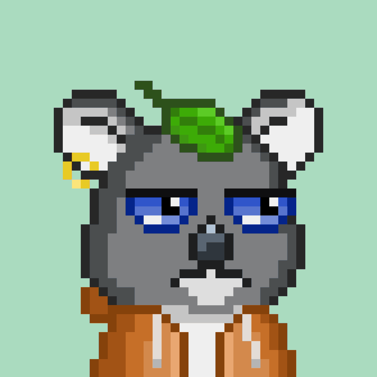 KoaClimberNFT's tweet photo. Koa will save the world !🐨 https://t.co/V1R4hGGBrs