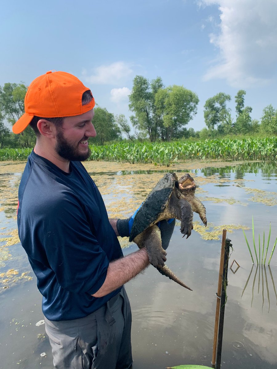 INHSPACELab's tweet photo. Blaine Hiner is an https://t.co/7Yp9Qklddp. in @IllinoisNRES with his thesis focusing on extrinsic factors impacting Eastern Massasauga occupancy and survival!

Read more here:
https://t.co/8WdWhvhyJu

@INHSillinois #Conservation #INHSPaCeLab https://t.co/oJ1As6DWN2