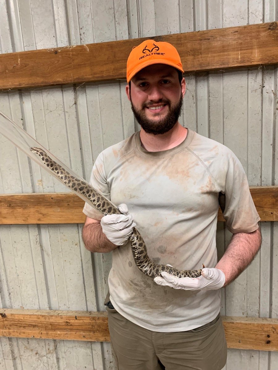 INHSPACELab's tweet photo. Blaine Hiner is an https://t.co/7Yp9Qklddp. in @IllinoisNRES with his thesis focusing on extrinsic factors impacting Eastern Massasauga occupancy and survival!

Read more here:
https://t.co/8WdWhvhyJu

@INHSillinois #Conservation #INHSPaCeLab https://t.co/oJ1As6DWN2