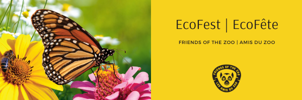 PetitcodiacWA's tweet photo. Come visit us at the EcoFest event Saturday and Sunday at the Zoo de Magnetic Hill Zoo! 🌿 https://t.co/sTsw0v4EDB Venez nous rendre visite à l'événement EcoFête samedi et dimanche au Zoo de Magnetic Hill ! https://t.co/07j2quKb3c https://t.co/fl1Rq4KMrI