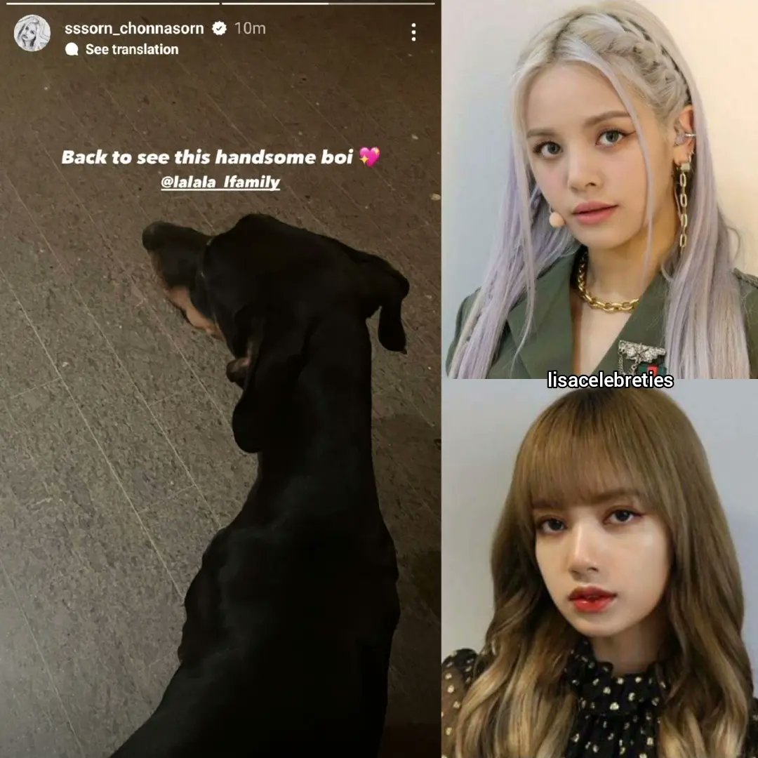 lisacelebreties's tweet photo. Former CLC member and solo artist Sorn shared Love on her Instagram story.
"Back to see this handsome boy"
#CLC #SORN #LISA #THAILINE https://t.co/lupuLKnFhd