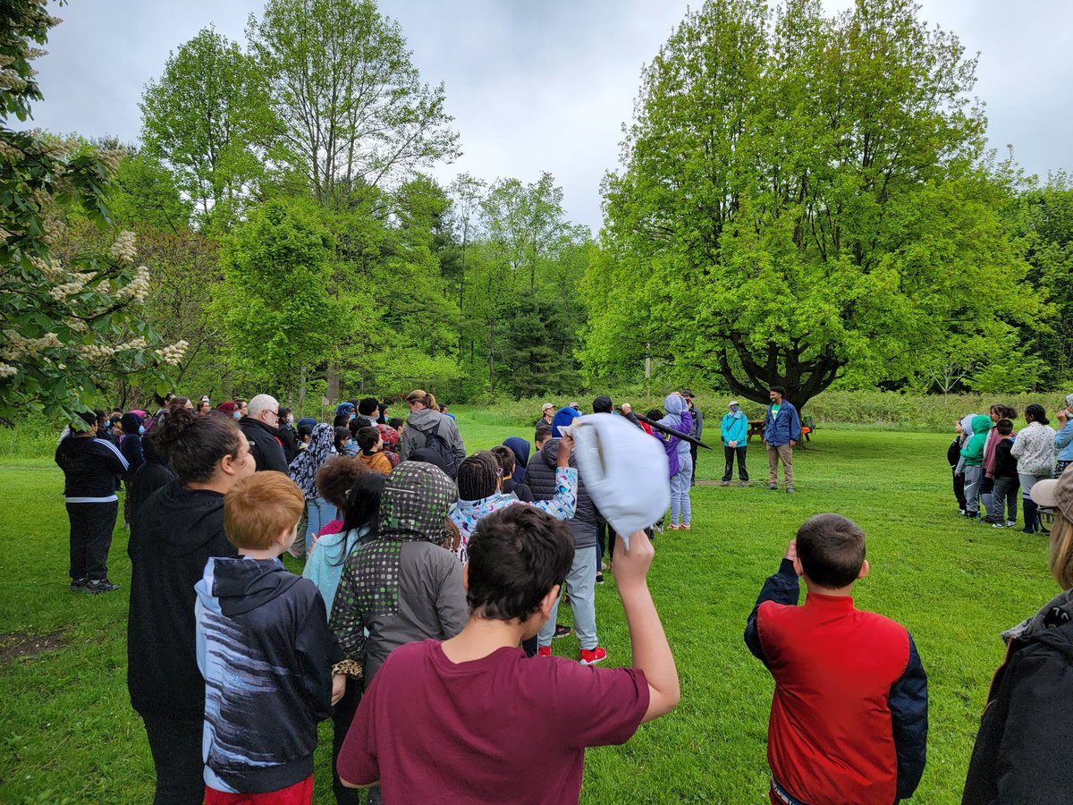 Elizabeth Schell tweet media